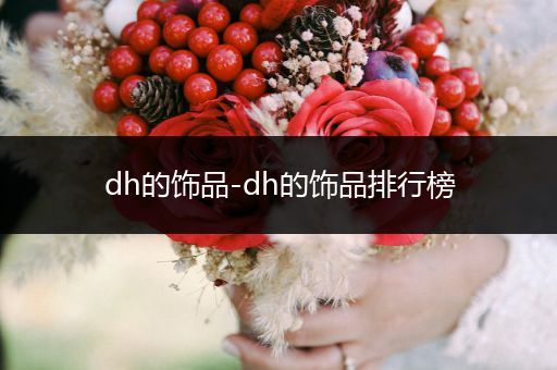 dh的饰品-dh的饰品排行榜