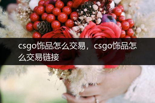 csgo饰品怎么交易，csgo饰品怎么交易链接