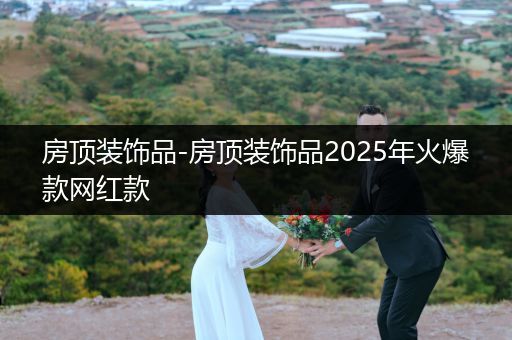 房顶装饰品-房顶装饰品2025年火爆款网红款